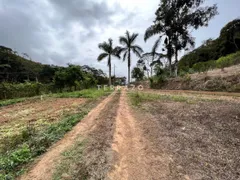Fazenda / Sítio / Chácara com 4 Quartos à venda, 571725m² no Providencia, Teresópolis - Foto 16