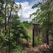 Fazenda / Sítio / Chácara com 1 Quarto à venda, 30000m² no Coxipó do Ouro, Cuiabá - Foto 8
