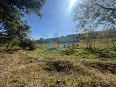 Fazenda / Sítio / Chácara com 3 Quartos à venda, 200m² no Santo Antônio dos Campos, Divinópolis - Foto 41