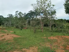 Fazenda / Sítio / Chácara à venda, 4210000m² no Goiaminas, Formoso - Foto 5