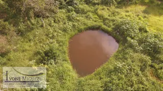 Fazenda / Sítio / Chácara à venda, 30000m² no Avelar, Paty do Alferes - Foto 10