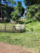 Fazenda / Sítio / Chácara com 2 Quartos à venda, 41800m² no Centro, Campo Alegre - Foto 7