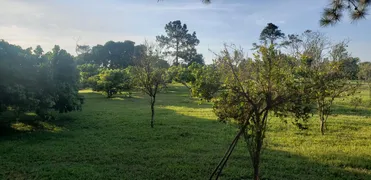 Fazenda / Sítio / Chácara com 4 Quartos à venda, 360000m² no Area Rural de Mogi das Cruzes, Mogi das Cruzes - Foto 39