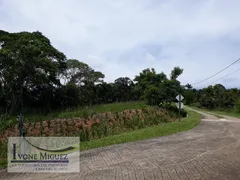 Terreno / Lote / Condomínio à venda, 5000m² no Vale das Videiras, Petrópolis - Foto 56