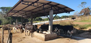 Fazenda / Sítio / Chácara com 6 Quartos à venda, 280000m² no Centro, Alpinópolis - Foto 30