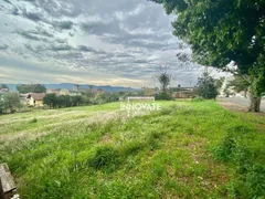 Terreno / Lote / Condomínio à venda, 1230m² no Farroupilha, Ivoti - Foto 3