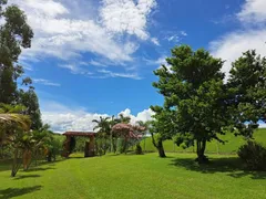 Fazenda / Sítio / Chácara com 2 Quartos à venda, 200m² no Saltinho, Elias Fausto - Foto 27