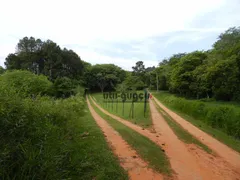 Fazenda / Sítio / Chácara com 6 Quartos à venda, 27000m² no Pinheirinho, Itu - Foto 84