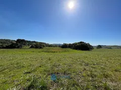 Fazenda / Sítio / Chácara à venda, 80m² no Vila Seca, Caxias do Sul - Foto 15