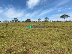 Fazenda / Sítio / Chácara com 1 Quarto à venda, 123m² no Zona Rural, Felixlândia - Foto 4