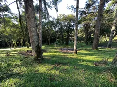 Fazenda / Sítio / Chácara com 3 Quartos à venda, 200m² no Planta Entremar, Piraquara - Foto 25