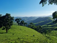 Fazenda / Sítio / Chácara com 3 Quartos à venda, 484000m² no São Francisco Xavier, São José dos Campos - Foto 8