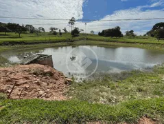 Fazenda / Sítio / Chácara com 4 Quartos à venda, 7m² no Centro, Anicuns - Foto 13