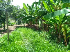 Terreno / Lote / Condomínio à venda, 4000m² no Vila Ipê Amarelo, Contagem - Foto 6