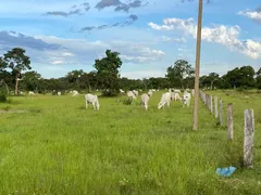 Fazenda / Sítio / Chácara à venda, 609m² no Zona Rural, Poconé - Foto 6
