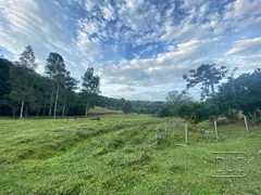 Terreno / Lote / Condomínio à venda, 20000m² no Forqueta, Caxias do Sul - Foto 4