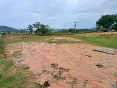 Fazenda / Sítio / Chácara à venda, 6000m² no Três Riachos, Biguaçu - Foto 26