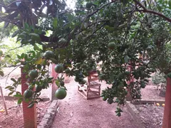 Casa de Condomínio com 3 Quartos à venda, 3200m² no Zona Rural, Hidrolândia - Foto 57