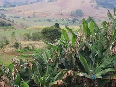 Fazenda / Sítio / Chácara à venda, 1390000m² no Taruacu, São João Nepomuceno - Foto 19