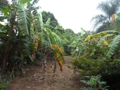 Fazenda / Sítio / Chácara com 3 Quartos à venda, 1530m² no Pavão-Canguera, São Roque - Foto 33