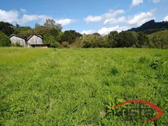Fazenda / Sítio / Chácara com 1 Quarto à venda, 1300m² no Santa Lúcia do Piaí, Caxias do Sul - Foto 9