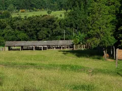 Fazenda / Sítio / Chácara com 3 Quartos à venda, 150m² no Zona Rural, Quadra - Foto 17