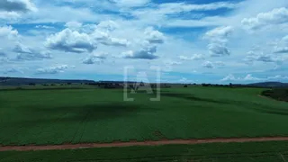 Fazenda / Sítio / Chácara à venda, 1140000m² no Zona Rural, Perdizes - Foto 9