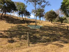 Fazenda / Sítio / Chácara com 3 Quartos à venda, 145200m² no Zona Rural, Gameleira de Goiás - Foto 11