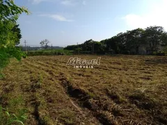 Terreno / Lote Comercial para alugar, 4517m² no Pau Queimado, Piracicaba - Foto 4