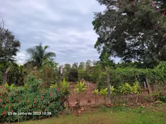 Fazenda / Sítio / Chácara à venda no , Mandaguaçu - Foto 6