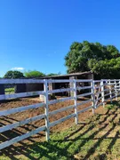 Fazenda / Sítio / Chácara com 4 Quartos à venda, 130m² no Zona Rural, São José de Mipibu - Foto 3