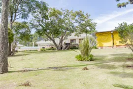 Fazenda / Sítio / Chácara com 4 Quartos à venda, 826m² no Parque das Nascentes, Pinhais - Foto 36