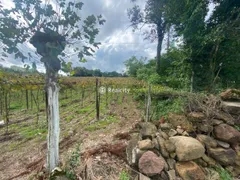 Terreno / Lote / Condomínio à venda, 242000m² no , Monte Belo do Sul - Foto 2
