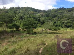 Fazenda / Sítio / Chácara com 6 Quartos à venda, 1175000m² no , Casimiro de Abreu - Foto 11