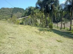 Fazenda / Sítio / Chácara com 2 Quartos à venda, 90m² no Centro, Anitápolis - Foto 14