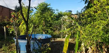 Fazenda / Sítio / Chácara com 4 Quartos à venda, 1000m² no Jardim Ana Maria, Sorocaba - Foto 26
