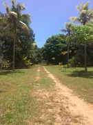 Fazenda / Sítio / Chácara com 3 Quartos à venda, 50500m² no Guabiraba, Recife - Foto 12