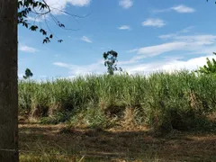 Fazenda / Sítio / Chácara com 3 Quartos à venda, 150m² no Zona Rural, Quadra - Foto 21