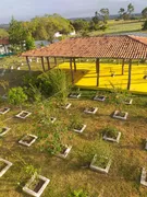 Fazenda / Sítio / Chácara com 3 Quartos à venda, 4600m² no Zona Rural, Monte Alegre - Foto 7