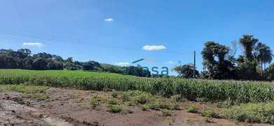 Fazenda / Sítio / Chácara à venda, 251500m² no Iguipora, Marechal Cândido Rondon - Foto 13