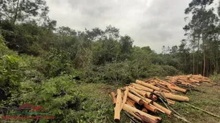 Terreno / Lote / Condomínio à venda, 20000m² no Linha Imperial, Nova Petrópolis - Foto 7