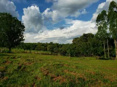 Fazenda / Sítio / Chácara com 3 Quartos à venda, 150m² no Zona Rural, Quadra - Foto 34