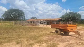 Fazenda / Sítio / Chácara com 2 Quartos à venda, 54250000m² no Zona Rural, Buritizeiro - Foto 14