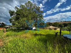 Fazenda / Sítio / Chácara com 3 Quartos à venda, 300m² no Zona Rural, São Sebastião do Oeste - Foto 31