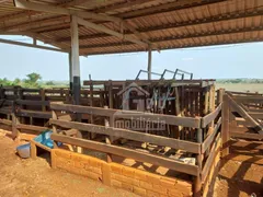 Fazenda / Sítio / Chácara à venda, 363000m² no Zona Rural, Pirassununga - Foto 13