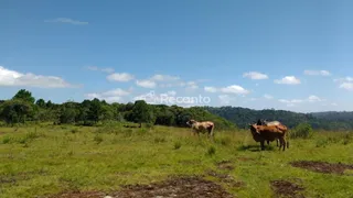 Fazenda / Sítio / Chácara à venda, 620000m² no Mato Queimado, Gramado - Foto 6