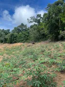 Fazenda / Sítio / Chácara com 1 Quarto à venda, 10000m² no Centro, Santa Teresa - Foto 4