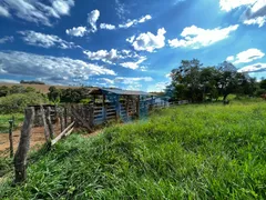 Fazenda / Sítio / Chácara com 3 Quartos à venda, 300m² no Zona Rural, São Sebastião do Oeste - Foto 34