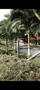 Fazenda / Sítio / Chácara com 2 Quartos à venda, 2700m² no Rio Sagrado, Morretes - Foto 7