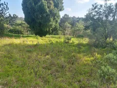 Terreno / Lote / Condomínio à venda, 6000m² no Granja Viana, Cotia - Foto 2